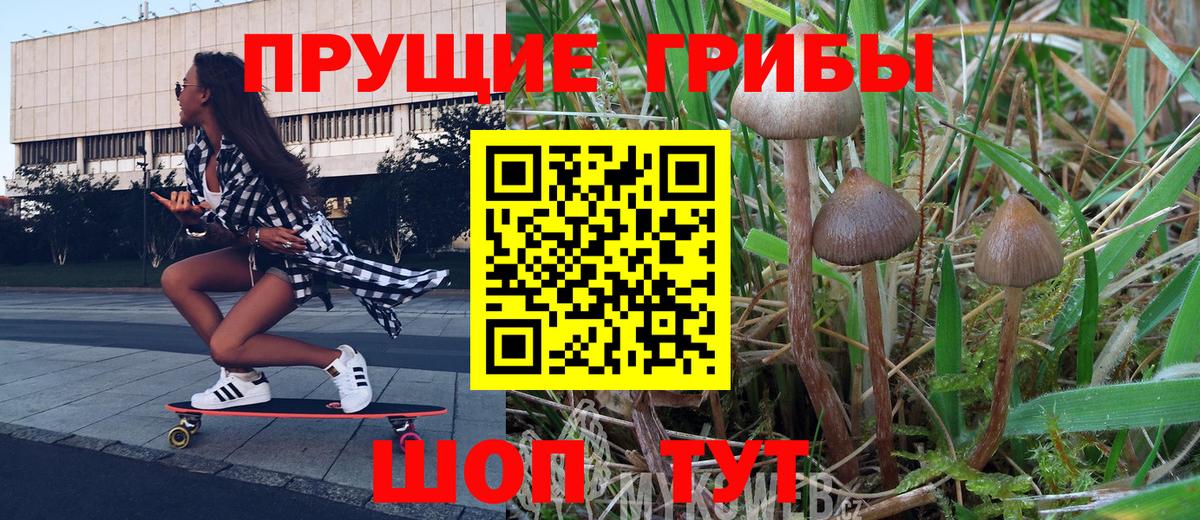 Псилоцибиновые грибы прущие грибы Сланцы